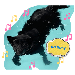 KumaStreetdog_20260413074232