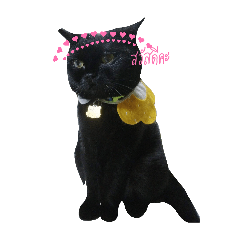 yingphoto_20260413075703