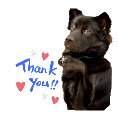 KumaStreetdog_20260413073727