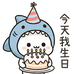 小鯊貓今天我生日
