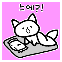 Kkoyami, the squiggly cat ( kr )