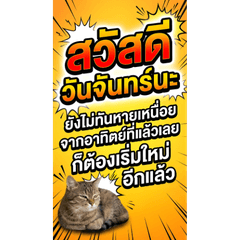 Hello 7 Days: Tired Cat