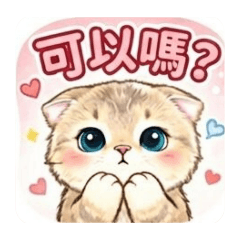 可愛的摺耳貓02