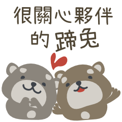 很關心夥伴的蹄兔（石獾）