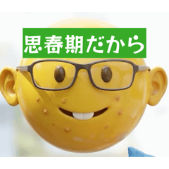 taichi-jof_20260408192537