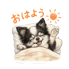 choco_20260412212953