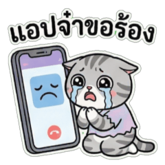 Broke Shorthair: Zero Balance