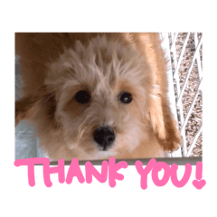 ninjin_20260412224523