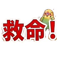 ​【災害緊急聯絡】快速確認與報平安