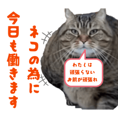 bibi&moca_20260408225646