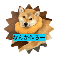 samu_20260409133248
