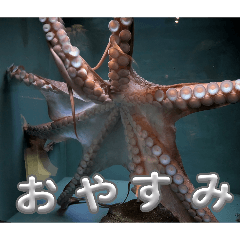 hinata_20260413104058