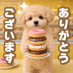 飛び出す癒しプードルのあいさつスタンプ