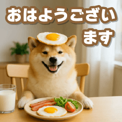 飛び出る癒し柴犬の敬語スタンプ