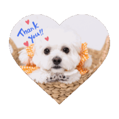 papico_20260413183207