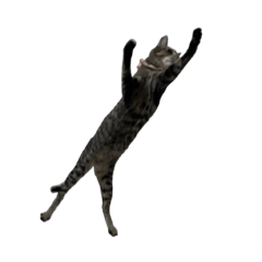 IrusuKarin_20260412234029