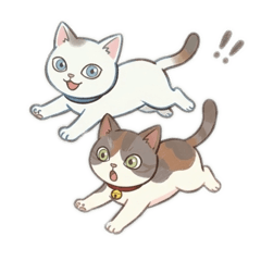 wimper_20260412232430