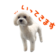 mana0213_20260413012114