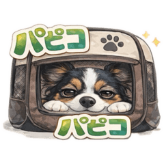 izumi.47_20260413185555