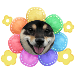 azu0716_20260413111600