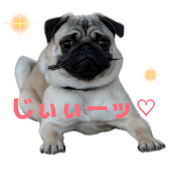 Guusuke_20260413110551