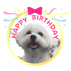 suusan!_20260413112646