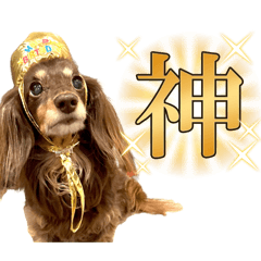 cocowanco_20260413174838