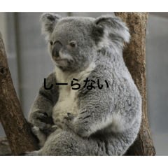 TAK_20260413193644