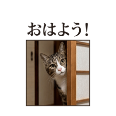 Earth Creative Lab_20260413205612