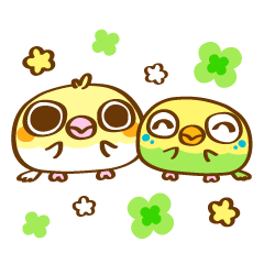 Yuru Maarui Parakeet