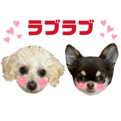 PANA_20260413213240