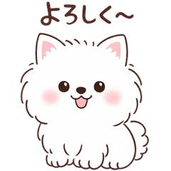 Cute Samoyed Daily Stickers