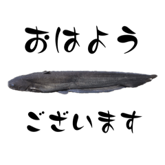 Fish Communication