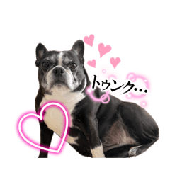 rina_202604131708368