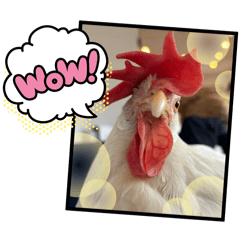 Muumuu_20260413181151