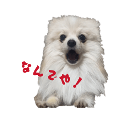 Kyuri_20260413114937