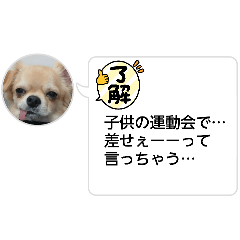 endox_20260413140439