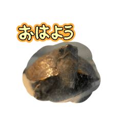musasi_20260413183322