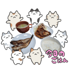 erieri_20260413145334