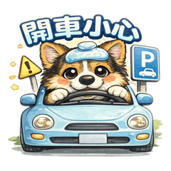 柯基田田行車平安