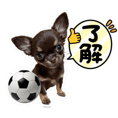 Chiroru_20260413211350