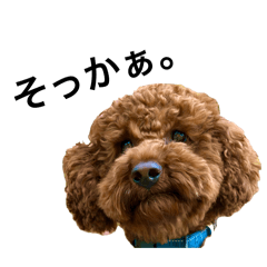 akirin_20260413225242