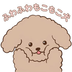 Fluffy Toy Poodle: Polite Daily Stickers