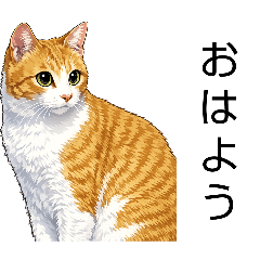 zigzag_20260413210622