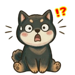 黒柴犬くん リアクション２
