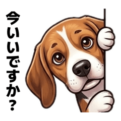 chanher10_20260413215838