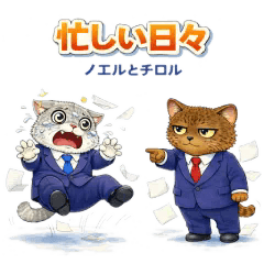 Busy day - Noel & Tirol