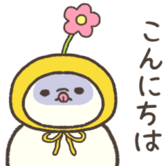 Melting cat. A blue point cat in spring.