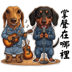 我的辣妹酷迪趣味生活