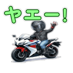 No.27 Sports Bike Life